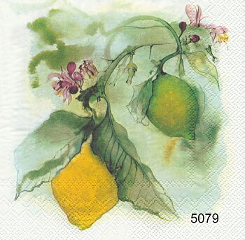 Citroner 