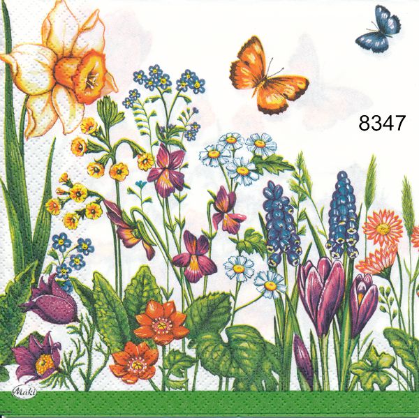 Sommaräng