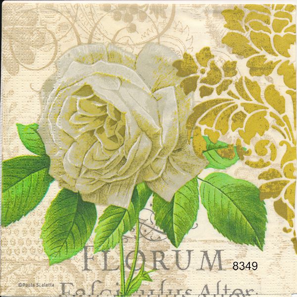 Gul beige ros