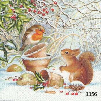 Fågel och ekorre i snön