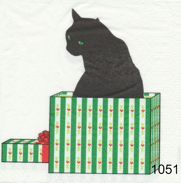 Svart katt i paket