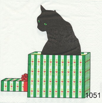 Svart katt i paket