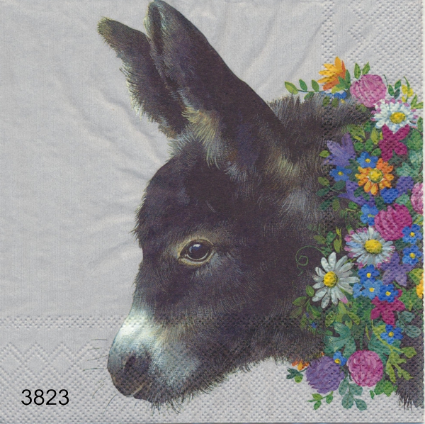 Liten åsna med blommor