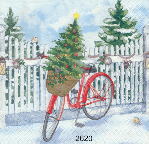 Pyntad cykel i vinterträdgård 
