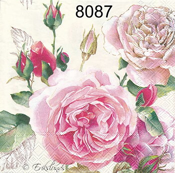 Rosa ros  