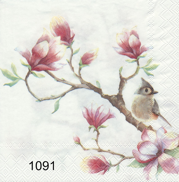 Fågel på magnoliagren