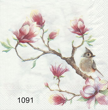 Fågel på magnoliagren