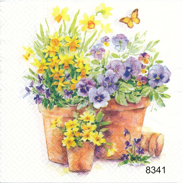Vårblommor i kruka