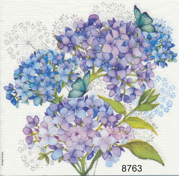 Hortensia 