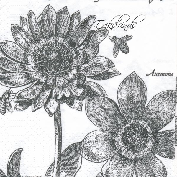 Svarta blommor