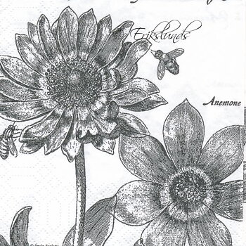 Svarta blommor