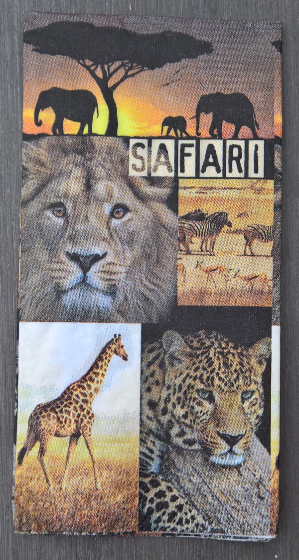 Safari