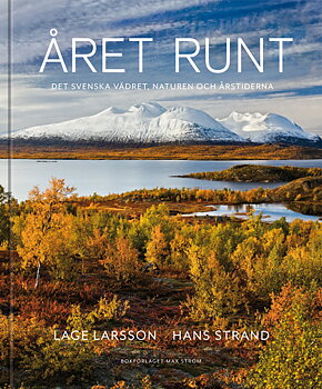 Hans Strand - Året runt