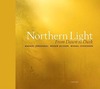 Mikael Svensson - Northern light