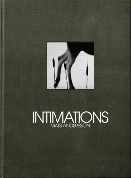 Mats Andersson - Intimations