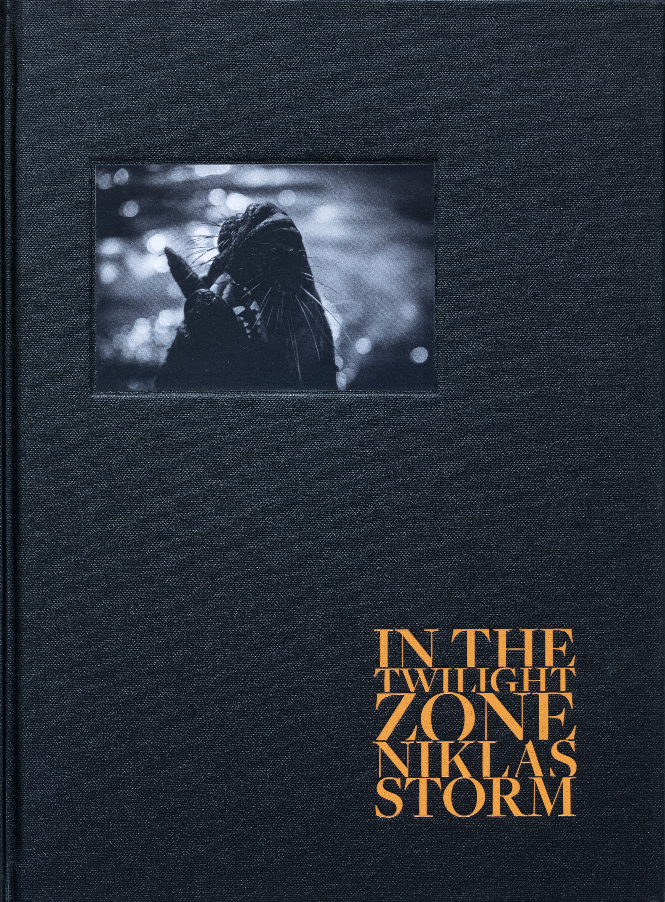 Niklas Storm – In the twilight zone