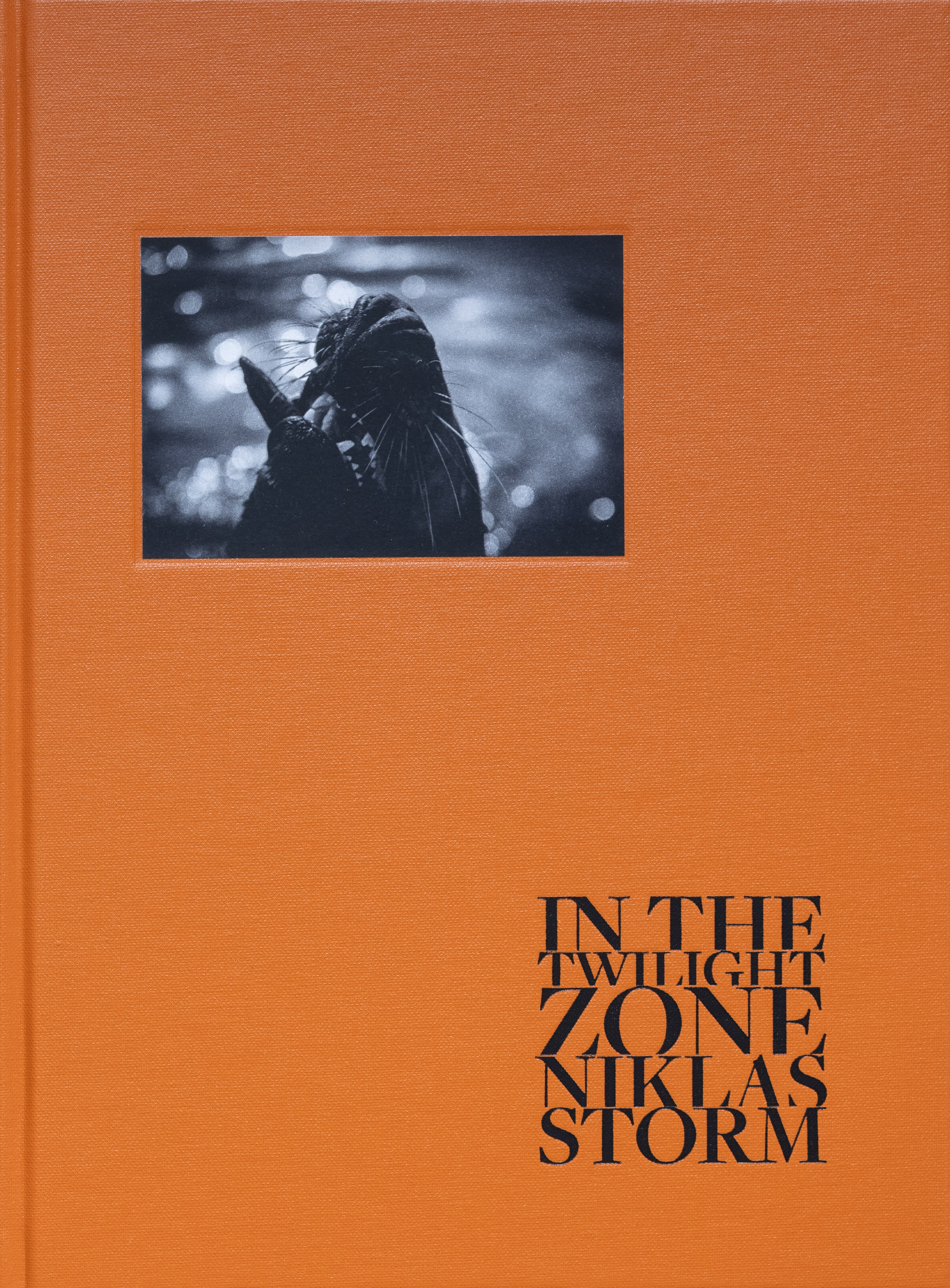 Niklas Storm – In the twilight zone - 2