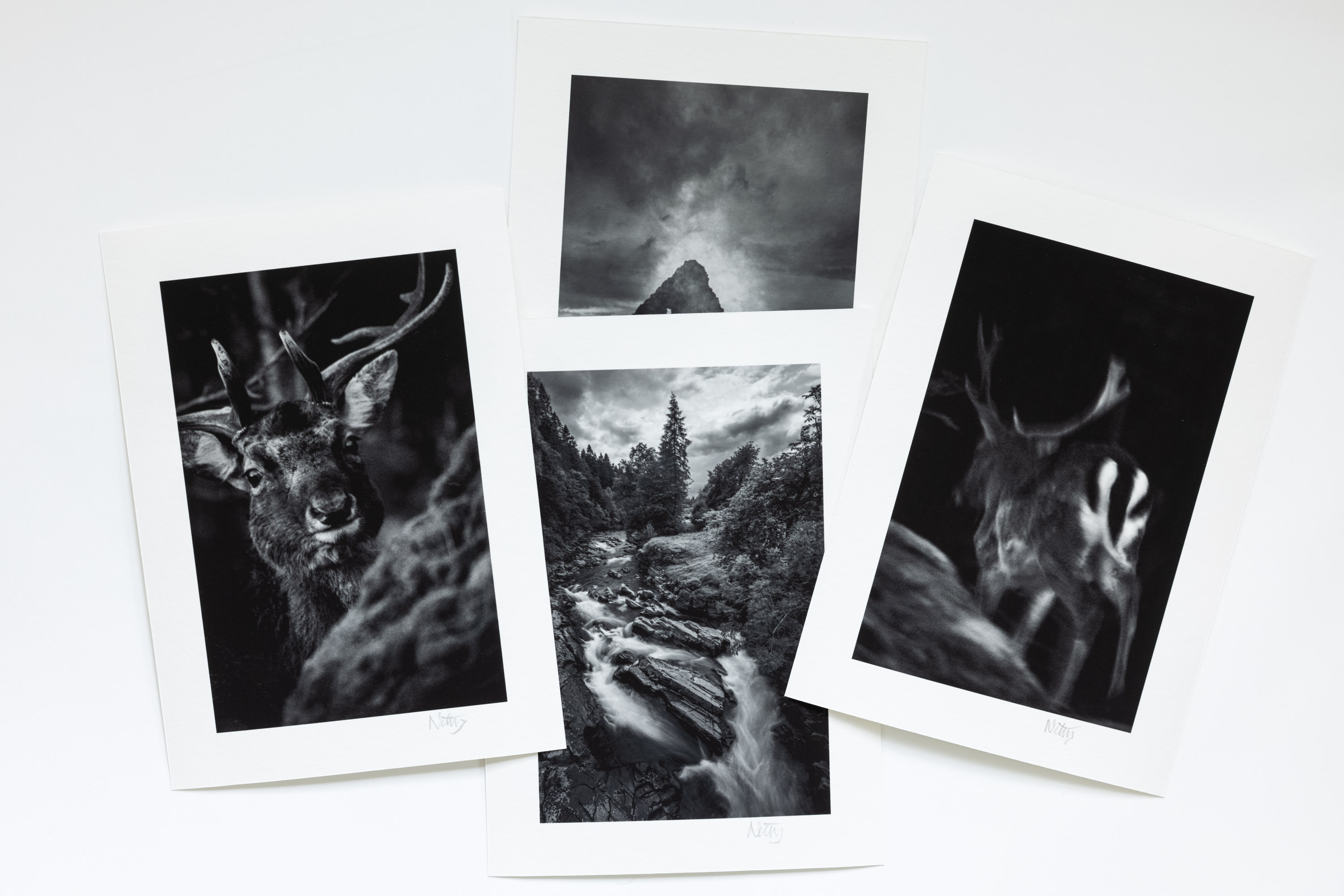 Niklas Storm – In the twilight zone - 4