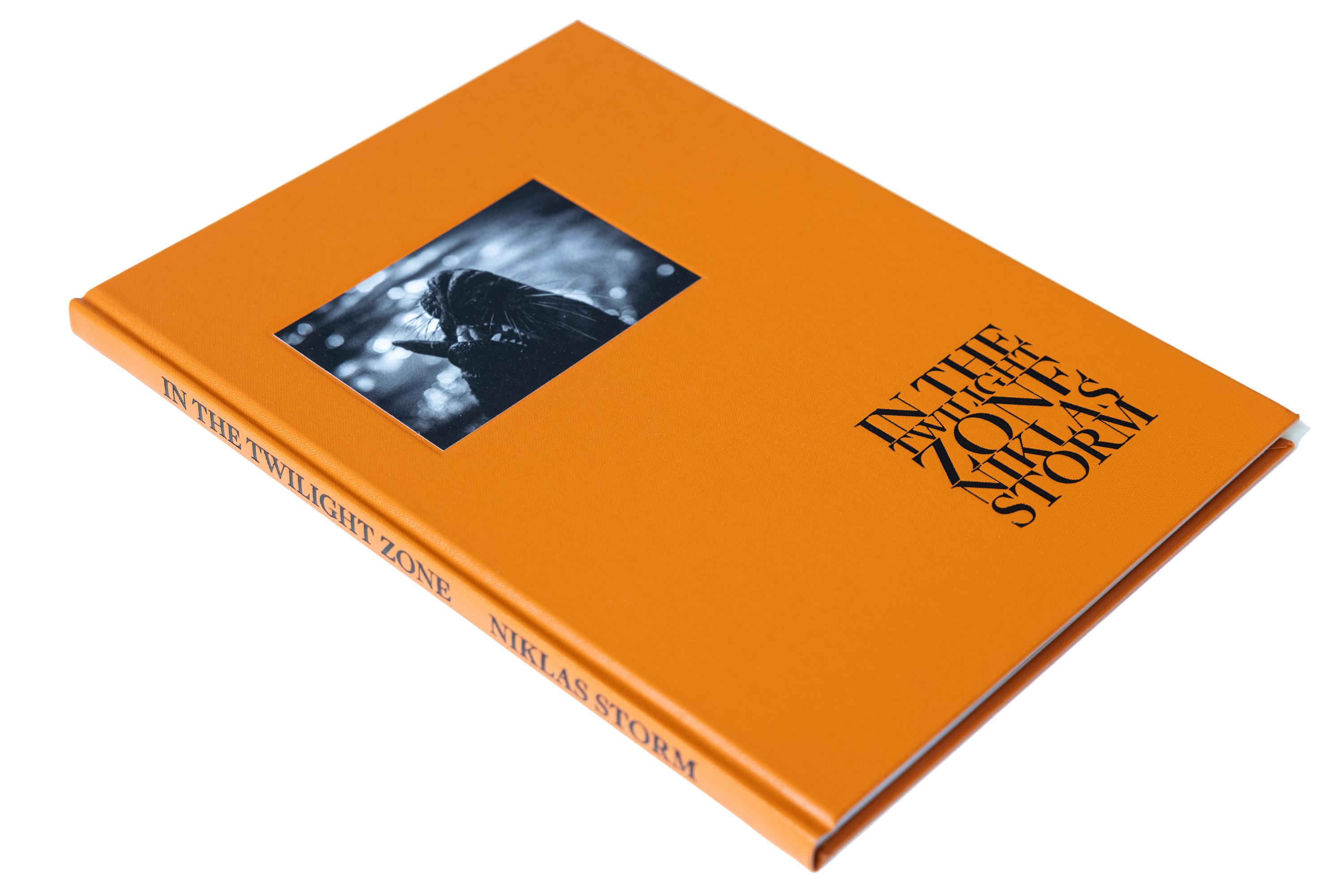 Niklas Storm – In the twilight zone - 12