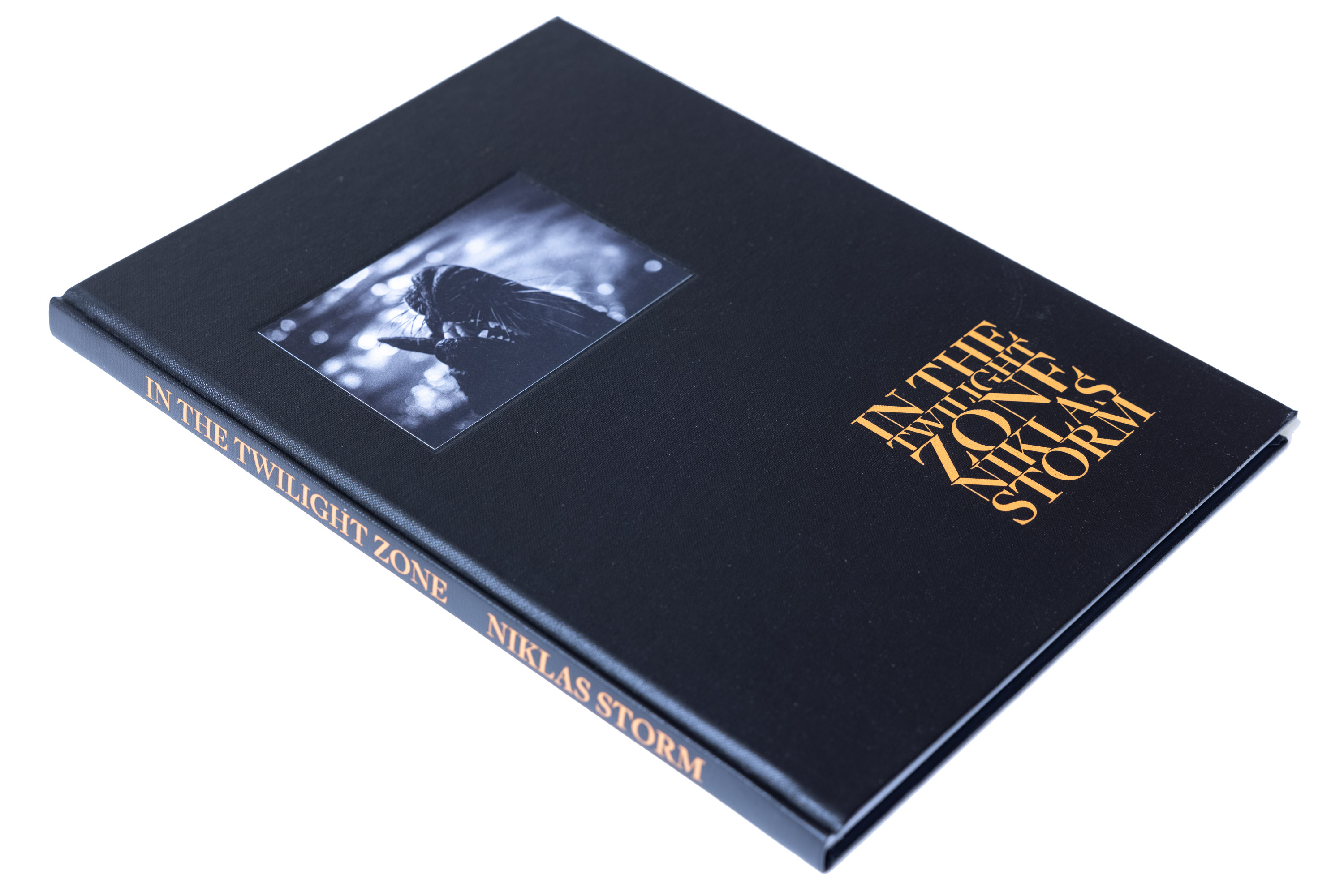 Niklas Storm – In the twilight zone - 11