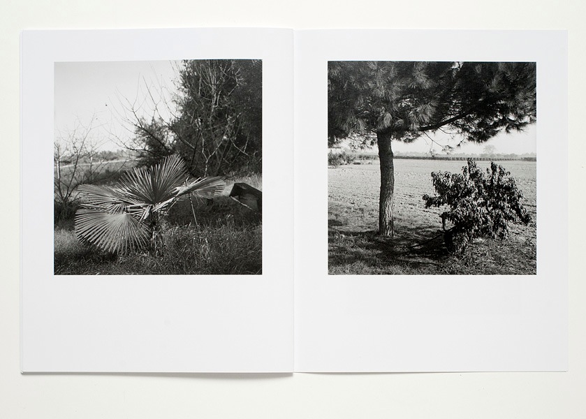 Gerry Johansson - Ravenna - 8