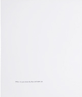 Signe Vad - What do you mean by that METAPHORS