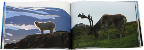 Peter Burman - Svalbard och m/s Origo i Norra ishavet - 2