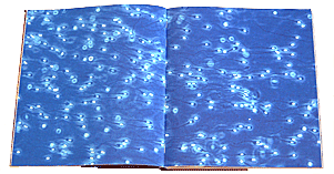 Lennart Nilsson - Images of Life - 3