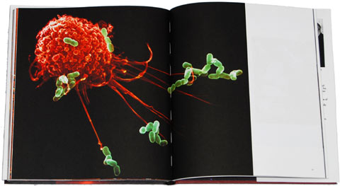 Lennart Nilsson - Images of Life - 2