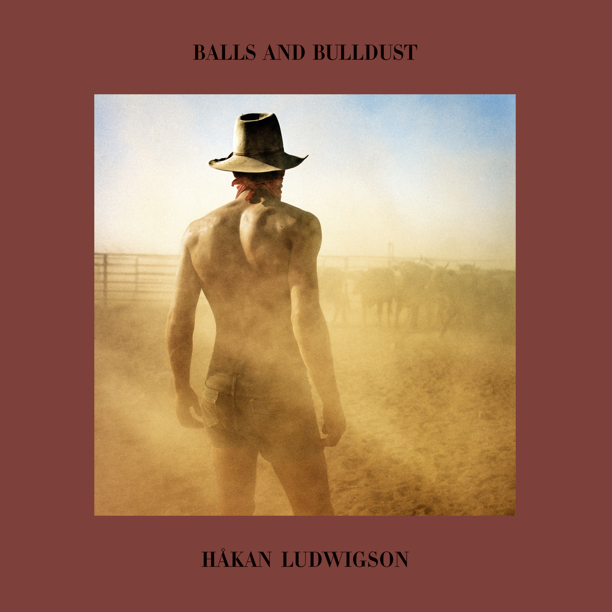 Håkan Ludwigson - Balls and Bulldust