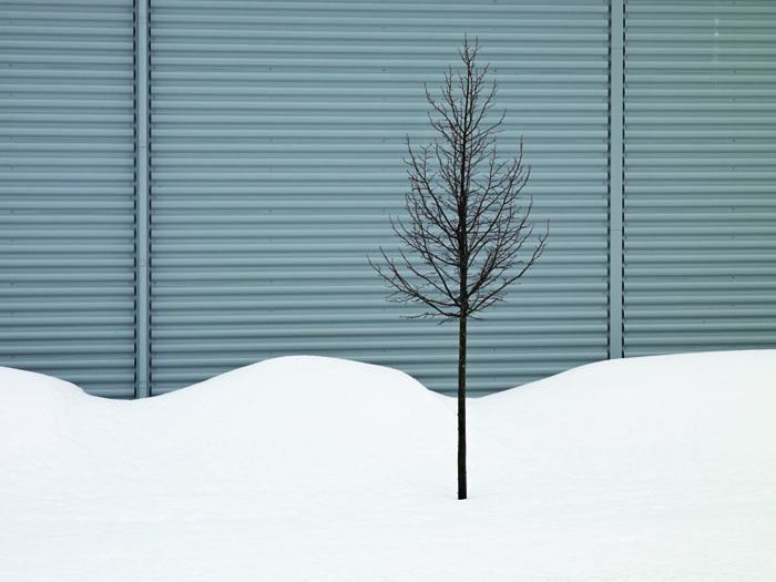 Jan Töve - Silent Landscape - 2
