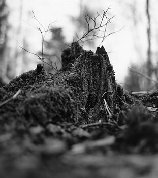 John Håkansson - small: MOUNTAINS