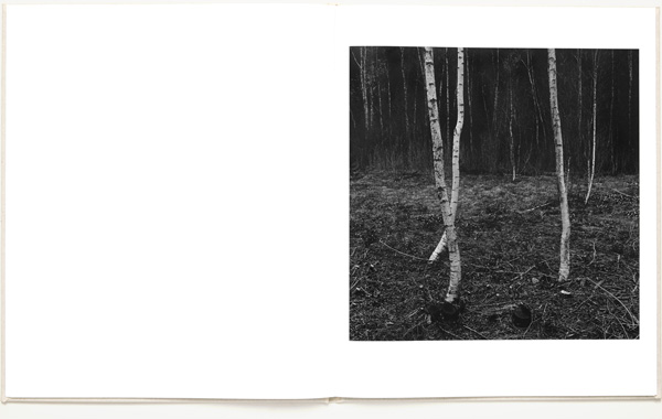 Gunnar Smoliansky - Träd - 3
