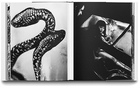 Christer Stromholm Poste Restante 洋書写真集 Christer Strömholm: Poste Restante (reprint), The Eyes