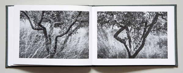 John S. Webb - A Garden - 3