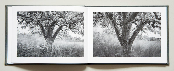John S. Webb - A Garden - 5