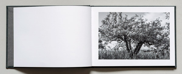 John S. Webb - A Garden - 2