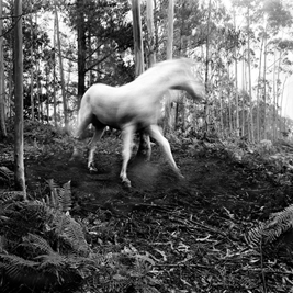 Nina Korhonen - La Cuerda - 5