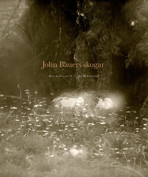 Mats Andersson - John Bauers skogar