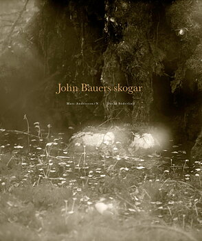 Mats Andersson - John Bauers skogar