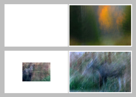 Mats Andersson - Fotografi - 2