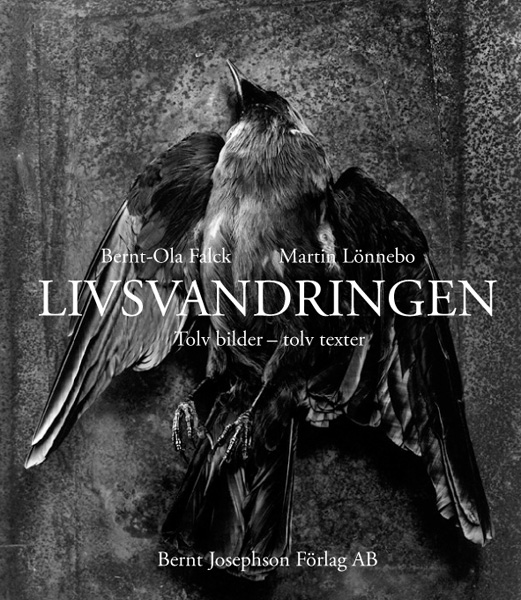 Bernt-Ola Falck - Livsvandringen