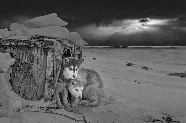 Ragnar Axelsson  - Arctic Heroes - 4