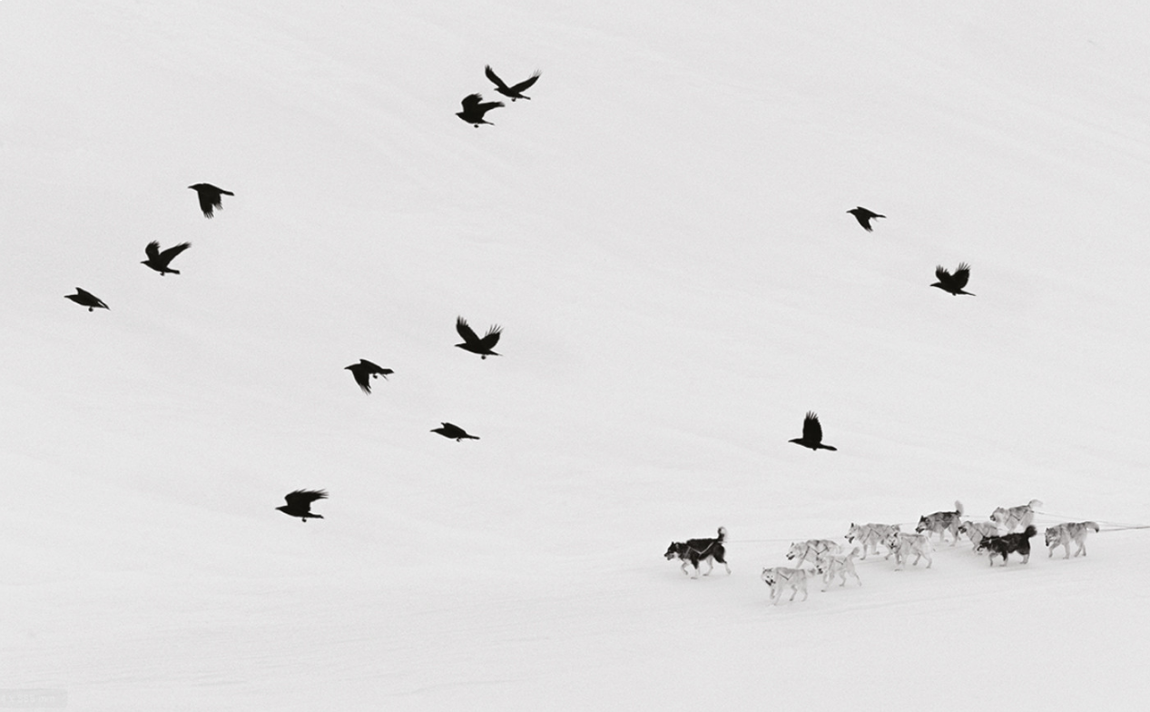 Ragnar Axelsson  - Arctic Heroes - 3