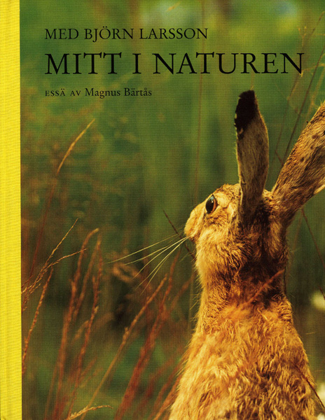 Med Björn Larsson mitt i naturen