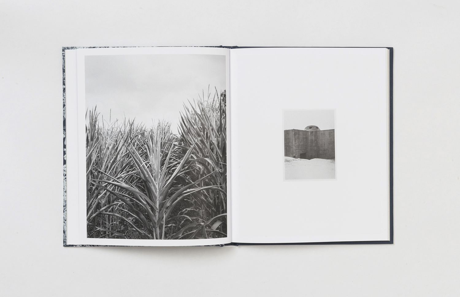 Emanuel Cederqvist - The Ditch - 3
