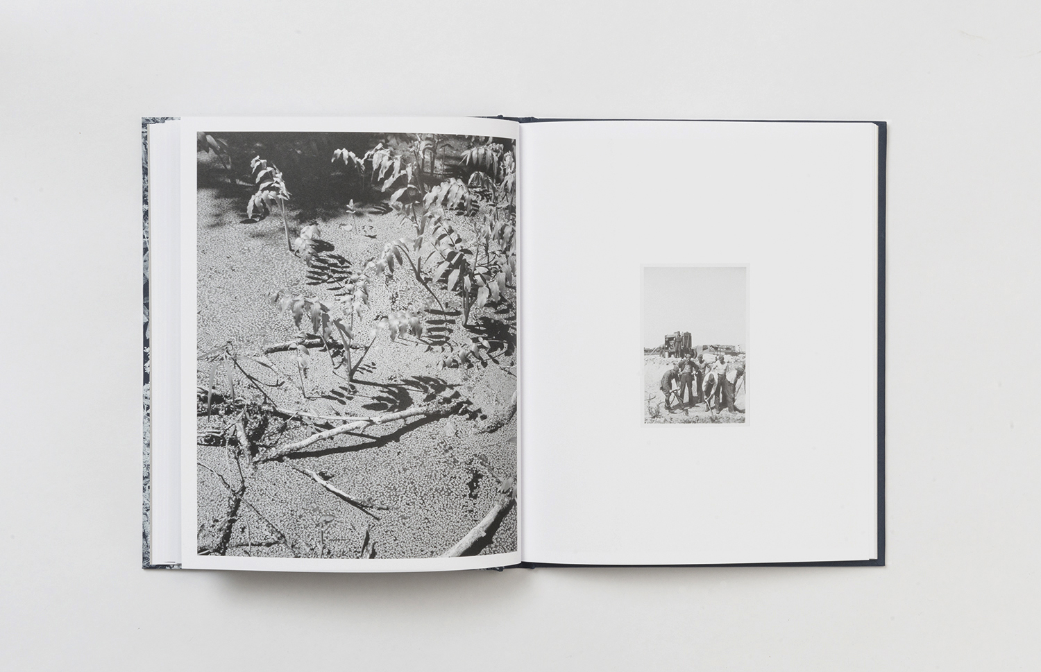 Emanuel Cederqvist - The Ditch - 4