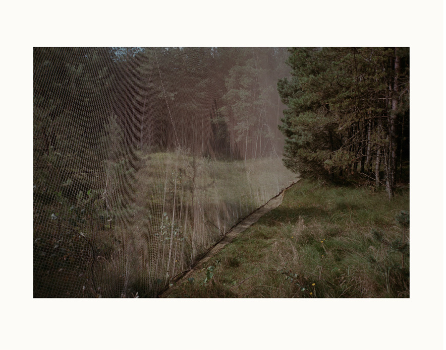 Stefan Bladh - Hidden Kingdom