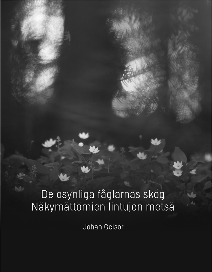 Johan Geisor - De osynliga fåglarnas skog