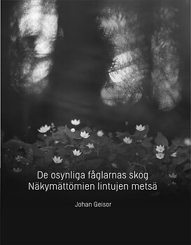 Johan Geisor - De osynliga fåglarnas skog
